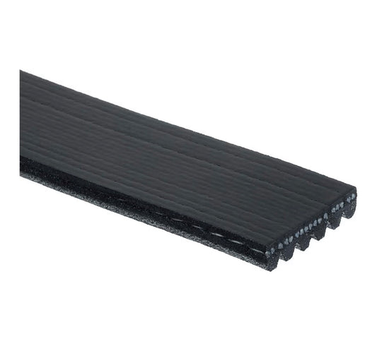 Timing belt/serpentine belt