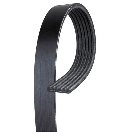 Timing belt/serpentine belt