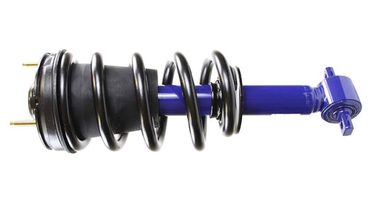 189105 ProSeries OE Complete Strut Assembly