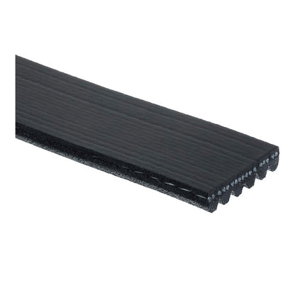 Timing belt/serpentine belt